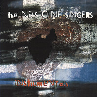 Cause For Concern - Nels Cline
