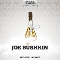 Just One Of Those Things - Joe Bushkin