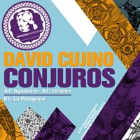 Aguacero - David Cujino