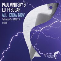 All I Know Now - Paul Vinitsky & Lo-Fi Sugar & Witness45