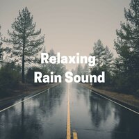 Allow Rain - The Sound of the Rain