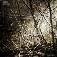 Nøkken - Clarence Rise