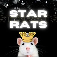 Ratasolo - Star Rats