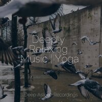 Feeling Delightful - Relaxing Nature Music & Native American Flute & Ruído branco