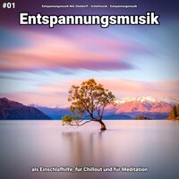 Entspannungsmusik pt. 22 - Entspannungsmusik Nils Stieldorff & Schlafmusik & Entspannungsmusik