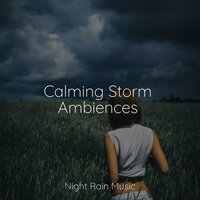 Deep Forest Birds - Nature Recordings & Rain Man Sounds & Internal Yoga
