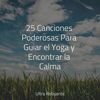 Suave Brisa - Musica Para Dormir y Sonidos de la Naturaleza & Sonidos de lluvia para dormir & Masaje Relajante Masters