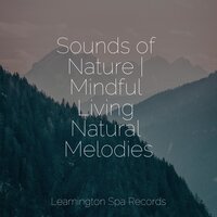 Gentle Sleep Music - Healing Meditation Zone & Sleep Rain & Relaxing Sleep Music