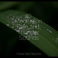 Thunder Rain - Pink Noise & Binaural Creations & Rest & Relax Nature Sounds