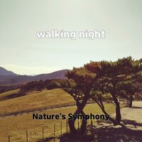 nine study - Nature's Symphony