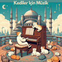 Yumuşacık Kürkler - Piano for cats & Music For Cats