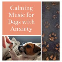 Pet Lullaby Theme - Dog Whisper