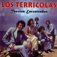 Por Qué Me Has Traicionado - Los Terricolas