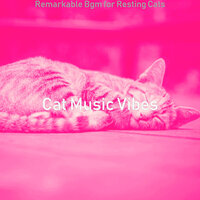 Spirited Ambiance for Cute Cats - Cat Music Vibes