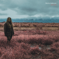 Beat the Drum Slowly - Marisa Anderson