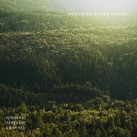 It Did it - Forest Sounds - Guided Meditation & Direction Relax & Autogenic Training Channel