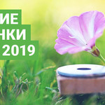 Лучшие новинки июня 2019