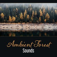 Healing Water Sound - Nature Music Sanctuary