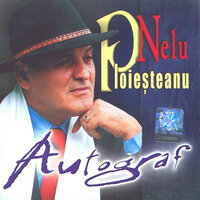 Mărine, la nunta ta - Nelu Ploiesteanu