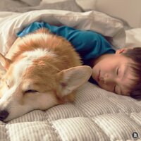 Piano bed - BGM Teacher