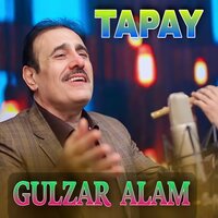 Snga Yo Zai Sho - Gulzar Alam