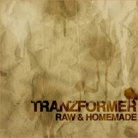 TAKE IT OVER THERE - Tranzformer