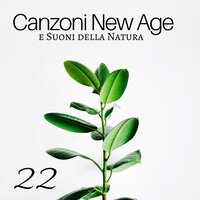 Esercizi Respirazione - Meditazione Profonda