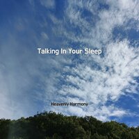 Sweet Little Bumblebee - Heavenly Harmony