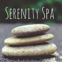 Slow Music Relaxation with Nature Sounds - Wellness n Wellness