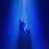 amnesia - shiranukich & alxmxv