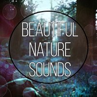 Senal Massage Music for Aromatherapy - Harmony Nature Sounds Academy