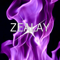 Vacation for Your Mind - Zealay