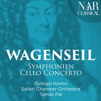 Symphonie in A Major, WV 421: III. Allegro assai - Salieri Chamber Orchestra & Tamás Pál