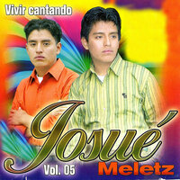 Muchos Problemas - Josue Meletz