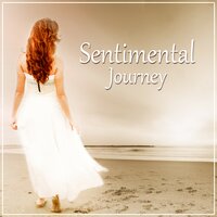Calming Sounds - Relaxing Zen Music Ensemble