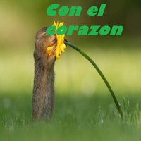Corazón - Raulin Rodriguez