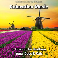 Relaxation Music Part 30 - Relaxing Music by Marlon Sallow & Yoga & Relaxing Spa Music
