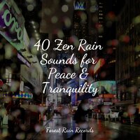 Rainy Traffic - Deep Sleep Systems & Baby Sleep & Tailormade Ocean Waves
