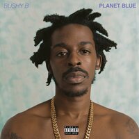 Under The Moonlight - Bushy B
