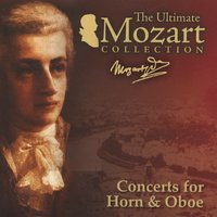 Horn Concerto No. 2 in E-Flat Major, K. 417: III. Rondo. Più allegro - Alberto Lizzio & Mozart Festival Orchestra & Joschi Fallout & Вольфганг Амадей Моцарт