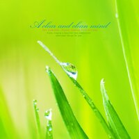Happy story of today - Heavenly Garden