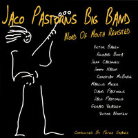 Punk Jazz Revisited - Jaco Pastorius Big Band & Marcus Miller