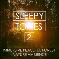 Immersive Peaceful Forest Nature Ambience, Pt. 18 - Jason Rivers