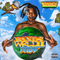 Diamonds from Dirt - Trey Bands