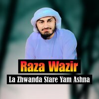 Da Janan Par Kali Wakhla Qadamona - Raza Wazir