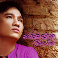 Ảo ảnh - Quang Linh
