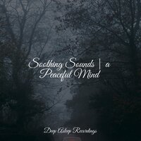 Soothing Night Sounds - Monarch Baby Lullaby Institute & Entspannungsmusik Oase & Meditation Relaxation Club