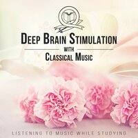 Strings Quartet No. 6 in B-Flat Major, Op. 18: III. Scherzo - Feliks Schutz & Ludwig van Beethoven