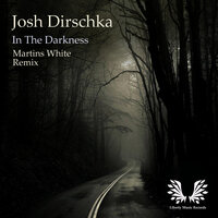 In The Darkness - Josh Dirschka & Martins White