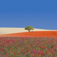 Mother Nature - Aisake